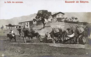 Squatting Collection: Izmir, Turkey - A Camel Caravan takes a rest
