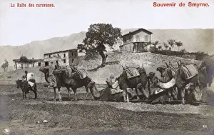 Smyrna Prints: Izmir, Turkey - A Camel Caravan takes a rest