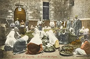 Smyrna Prints: Izmir, Turkey - The Sorting of Figs