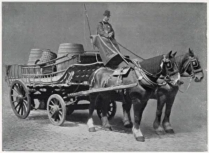 Nicholson Prints: J & W Nicholson & Co Distillers - Transport 1899
