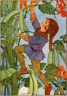 Jack & the Beanstalk