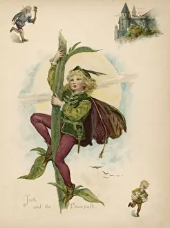 Jack Climbing Stalk