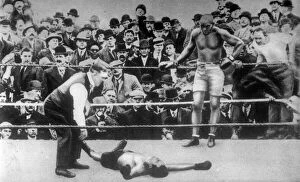 Champion Collection: Jack Johnson in a boxing match