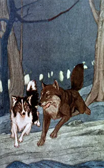 Images Dated 9th June 2016: Jack London / White Fang