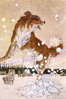 Jack London / Call of Wild