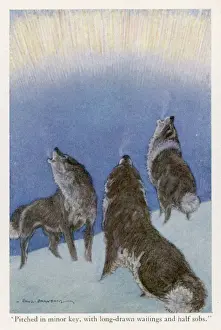 Jack London / Call of Wild