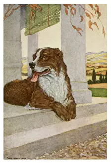 Wild Prints: Jack London / Call of Wild