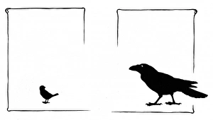 Images Dated 3rd November 2011: Jack Sparrow asks the tame raven for help