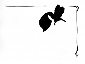 Images Dated 3rd November 2011: Jack Sparrow flies off with cricket score sheet