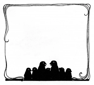 Images Dated 3rd November 2011: Jack Sparrow, Jennie and the chicks