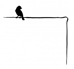 Images Dated 28th October 2011: Jack Sparrow perched at the top of a page