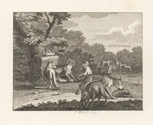 John Stockdale Prints: The Jackall, Leopard and Other Beasts