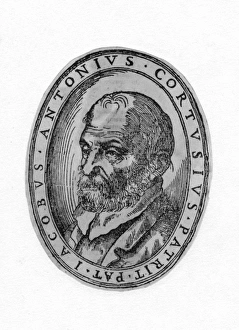 Antonius Gallery: Jacobus Cortusius