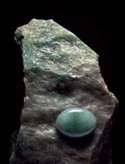 Actinolite Gallery: Jadeite crystal and cut stone