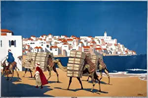 Jaffa Oranges poster