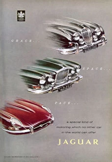 Bonnet Collection: Jaguar car advertisement
