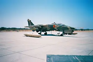 Jaguar at Seeb North - Oman