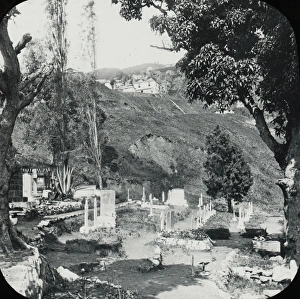 Antilles Collection: Jamaica - The Cemetery, Newcastle