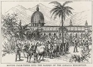 The Jamaica Exhibition