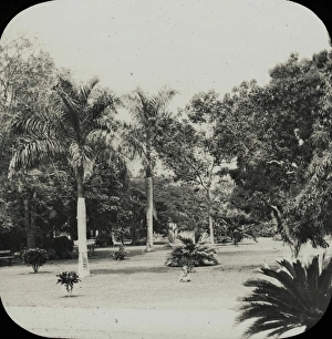 Jamaica - Kings House Grounds, Kingston