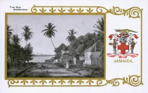 Crest Gallery: Jamaica - The Old Homestead