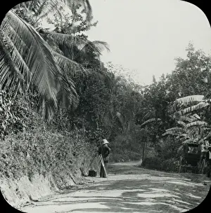 Jamaica - On the Road to Mandeville Porous