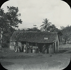 Antilles Collection: Jamaica - On the Road to Mandeville Porous
