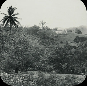 Antilles Collection: Jamaica - On the Road to Mandeville, Williamsfield