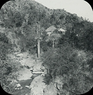 Antilles Collection: Jamaica - View from Bridge, Newcastle