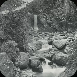 Antilles Collection: Jamaica - The Waterfall, Newcastle