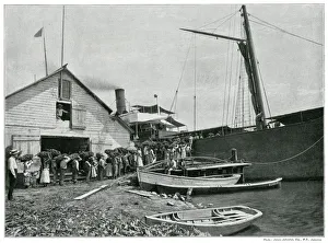 Images Dated 10th July 2019: Jamaican export of bananas 1890s