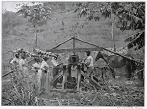 Pressing Gallery: Jamaican industry was struggling against fierce rivalry of production volumes from