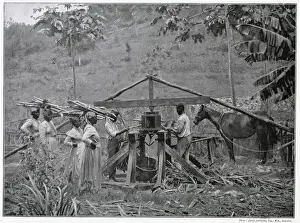 Extracting Prints: Jamaican industry was struggling against fierce rivalry of production volumes from