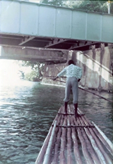 Images Dated 19th July 2016: Jamaican man rafting under the bridge down the Rio Grand, Ja