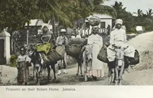 Panniers Prints: Jamaican villagers returning home from market