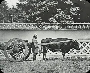 Bullock Prints: Japan - A Bullock cart of Kiyoto