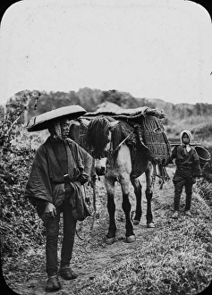 Charcoal Gallery: Japan - The Charcoal dealer