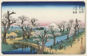 Fujiyama Prints: JAPAN / FUJIYAMA / BLOSSOM