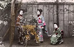 Flowerbed Prints: Japan - Three Geisha Girls posing in a flowerbed