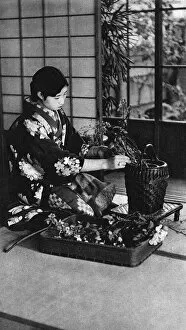 Ikebana Collection: Japan - Girl practising Ikebana Flower Arrangement