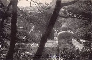 Japan - Great statue - Buddha Daibutsu, Kamakura - rear view