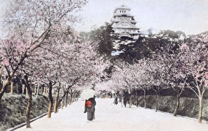 Japan - Himeji Castle, Hyogo Prefecture Japan - Himeji Castle, Hyogo Prefecture