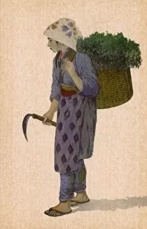 Greenery Gallery: Japan - Japanese woman with sickle and laden basket backpack