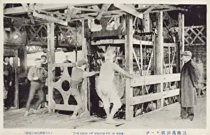 Cages Prints: Japan - The Mitsui Miike Coal Mine - The Manda Pit Cages