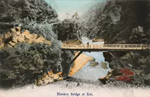 Japan - Monkey Bridge in the Kai Province