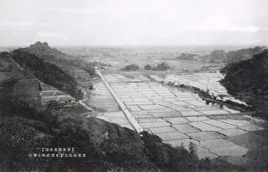 Paddy Prints: Japan - Panoramic view of paddy fields