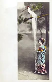 Surprising Prints: Japan - Remarkable Fowl at Miyanoshita