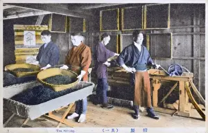 Trays Prints: Japan - Tea Industry - Tea Sifting