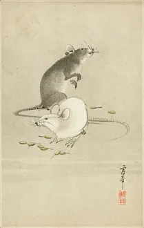 Tails Prints: Japan - woodblock print of black and white rats with seeds