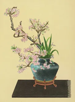 Spring Collection: Japanese Arrangement - 1